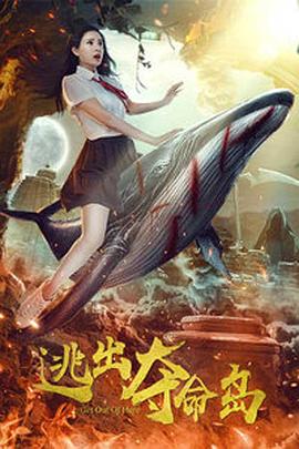 精品视频入口
