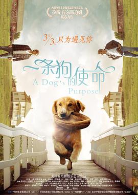中文字幕在线视频免费