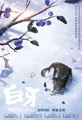 久视频精品线在线观看的亮点
