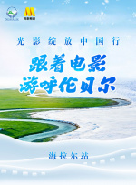 农夫山泉有点甜dvd理论片