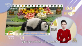 五月花性网